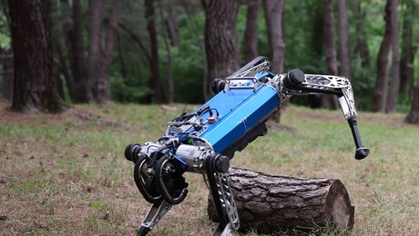 [쿠키과학] ‘계단선 걷고 틈은 점프’… KAIST, 스스로 보행 바꾸는 AI 로봇 구현