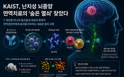 [쿠키과학] ‘뇌종양 면역치료 숨은 열쇠 찾았다’… KAIST, 교모세포종 면역치료 원리 규명