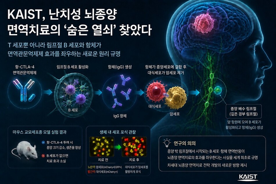 AI 생성 이미지. KAIST