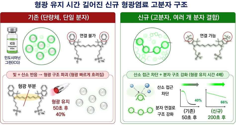 근적외선 고분자(KR-NIR-P)의 화학 구조 및 광안정성 개선 효과. 한국화학연구원