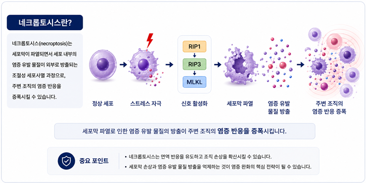네크로톱시스 기전. 한국한의학연구원