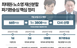 ‘평가시점’에 쏠린 눈…최태원 재산분할 24일 결론, 쟁점은