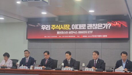 삼전·닉스 레버리지 커지는 정부 책임론…금융당국 ‘시곗바늘’ 빨라진다