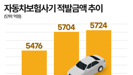 車보험금 누수 대응 강화…물적 담보는 여전히 사각지대