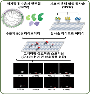 대규모 당사슬-수용체 상호작용 스크리닝. IBS