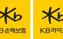 KB손보·KB라이프, 상반기 순익 감소…손해율·변동성 부담