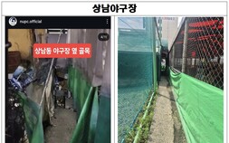 창원시, 길고양이 보호단체 주장 반박…“사실관계 확인 후 법령에 따라 행정”