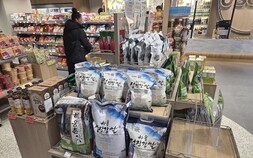 경남 농식품 수출, 상반기 역대 최대…K-푸드 인기·신선농산물 회복 견인