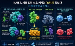 [쿠키과학] ‘암세포 성장 신호 켜는 분자 스위치’… KAIST, 차세대 항암치료 단서 확보
