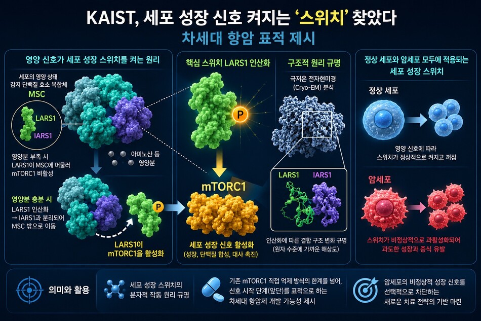 AI 생성 이미지. KAIST