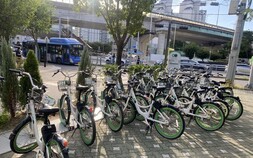 “내 개인정보 값이 30일 정기권?”…따릉이 유출 보상안에 ‘불만’ 잇따라