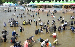 “은빛 물결 속, 가장 뜨겁고 시원한 여름 추억 한 페이지”…봉화은어축제 개막