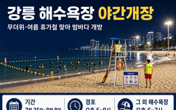 밤까지 열린 강릉 바다…7말 8초 피서 절정, 여름특수 기대