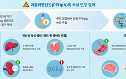 [쿠키과학] KIT, 대체 PFAS 장기 노출 영향 분석… ‘인체 중대한 독성 없음’